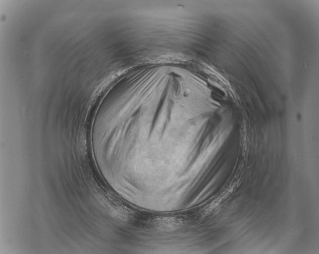 X0000073890298200609011700