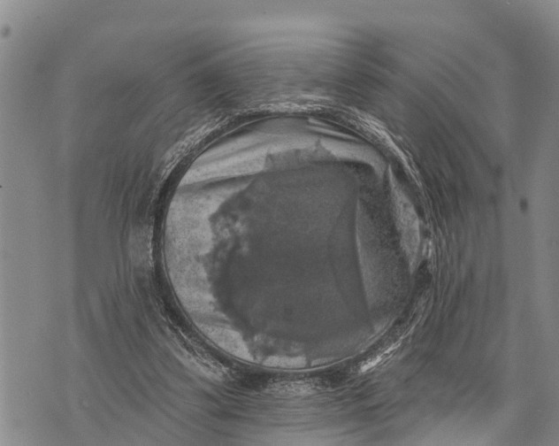 X0000073890299200609011700