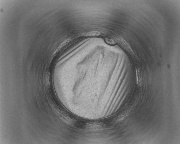 X0000073890300200609011700