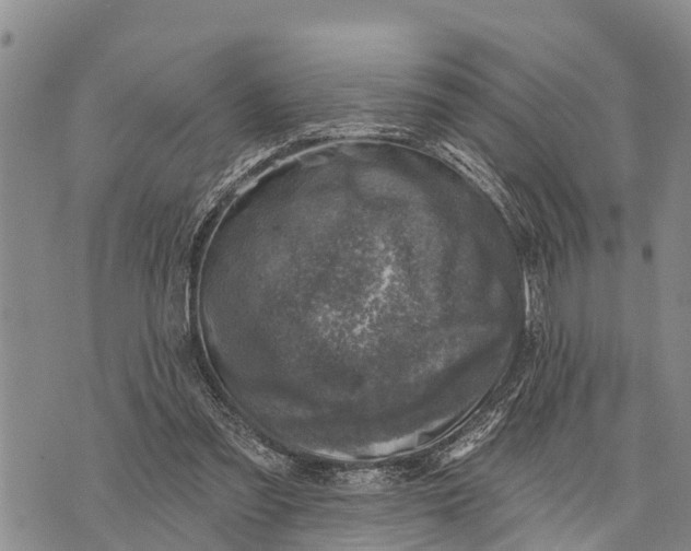 X0000073890301200609011700