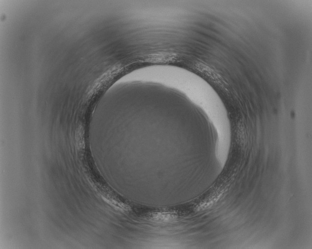 X0000073890303200609011700