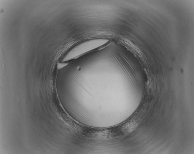 X0000073890306200609011700