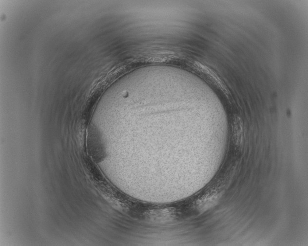 X0000073890307200609011700