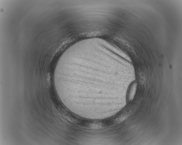 X0000073890308200609011700