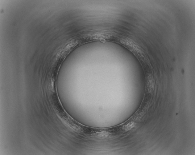 X0000073890310200609011700