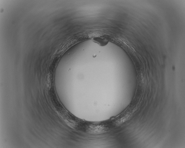 X0000073890311200609011700