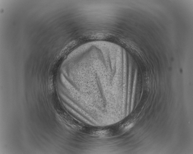 X0000073890312200609011700