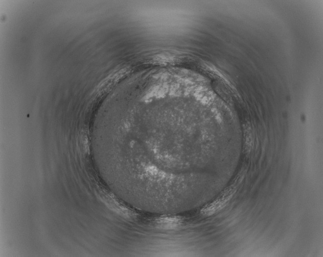 X0000073890313200609011700