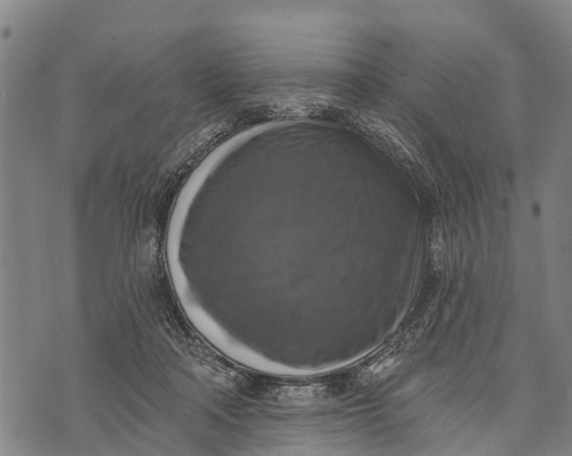 X0000073890314200609011700