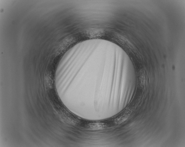 X0000073890316200609011700