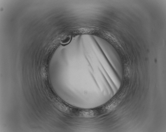 X0000073890317200609011659