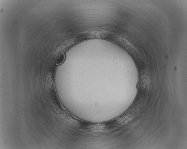 X0000073890318200609011659