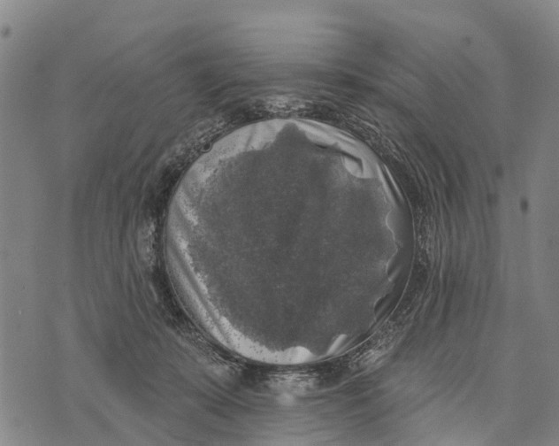 X0000073890319200609011659