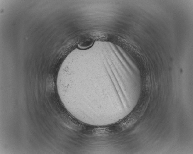 X0000073890320200609011659