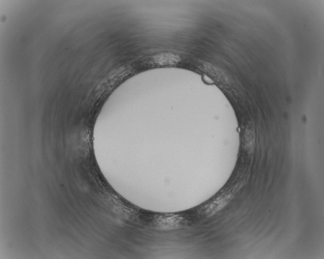 X0000073890321200609011659