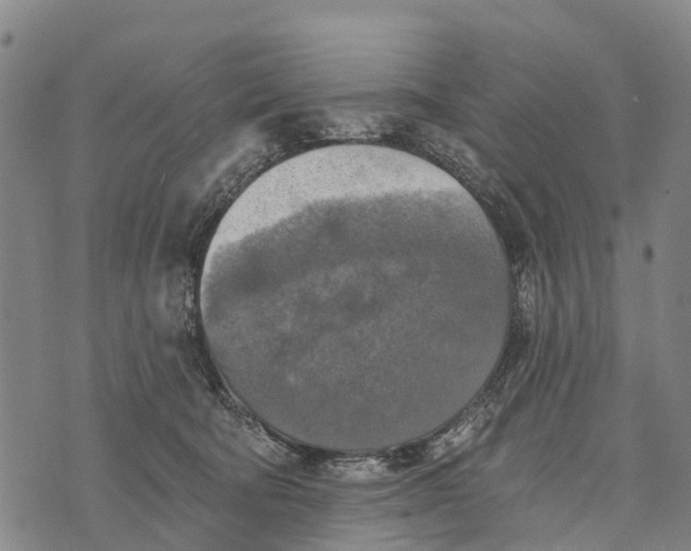 X0000073890322200609011659