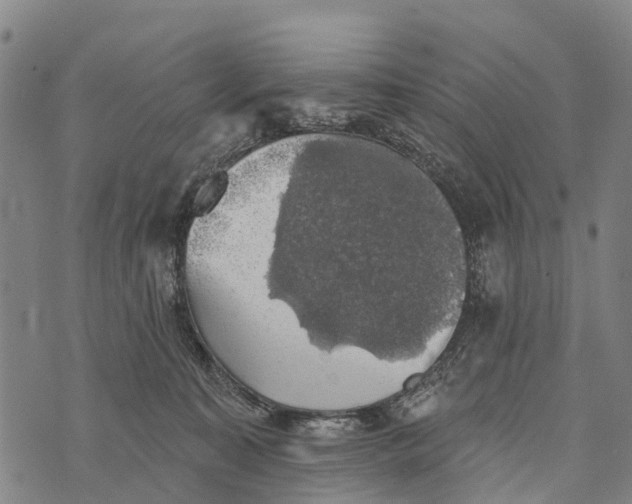 X0000073890323200609011659