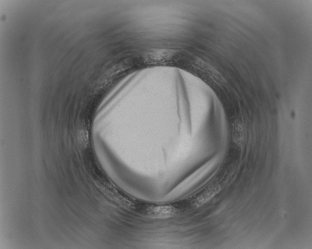 X0000073890324200609011659