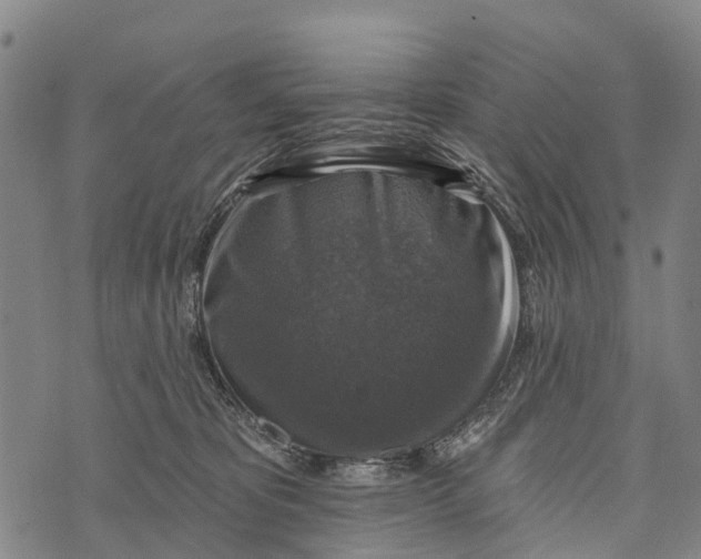 X0000073890325200609011659