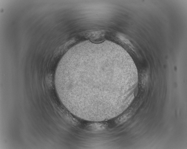 X0000073890326200609011659