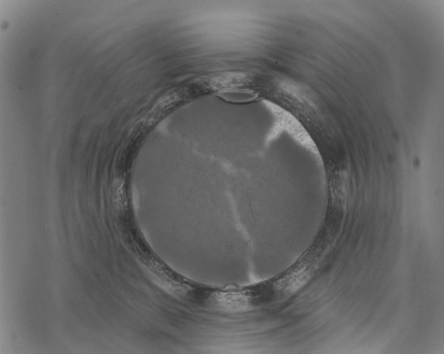 X0000073890327200609011659