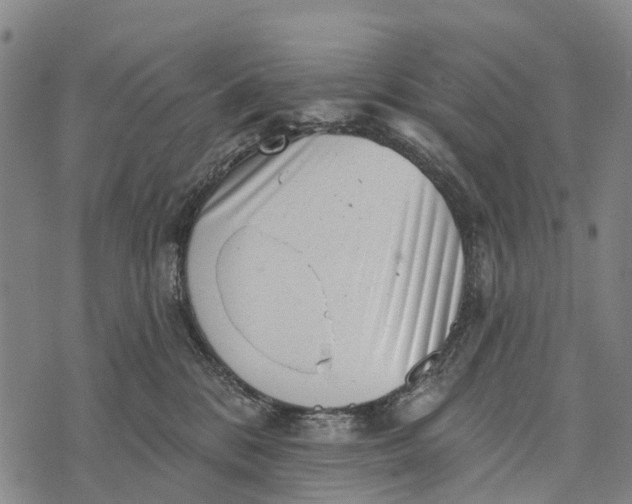 X0000073890328200609011659