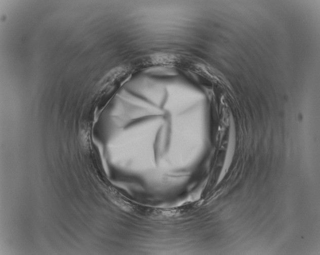 X0000073890329200609011659