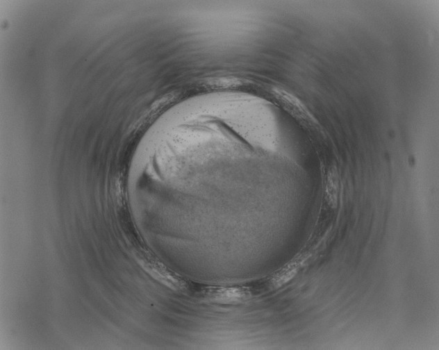 X0000073890330200609011659