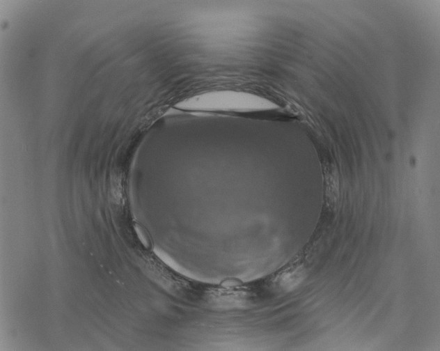 X0000073890331200609011659