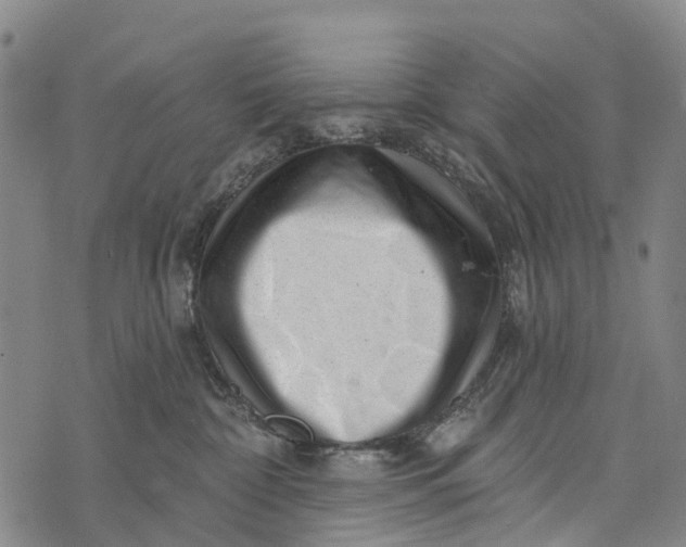 X0000073890332200609011659