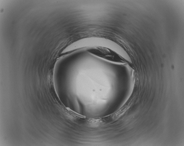 X0000073890333200609011659