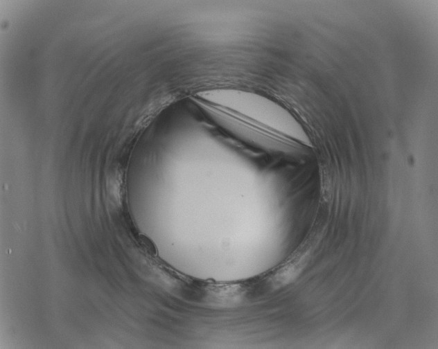 X0000073890334200609011659