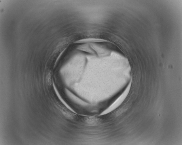 X0000073890336200609011659