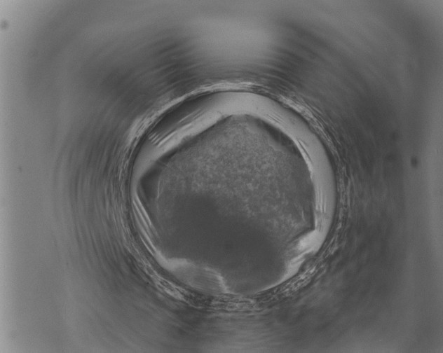 X0000073890337200609011658