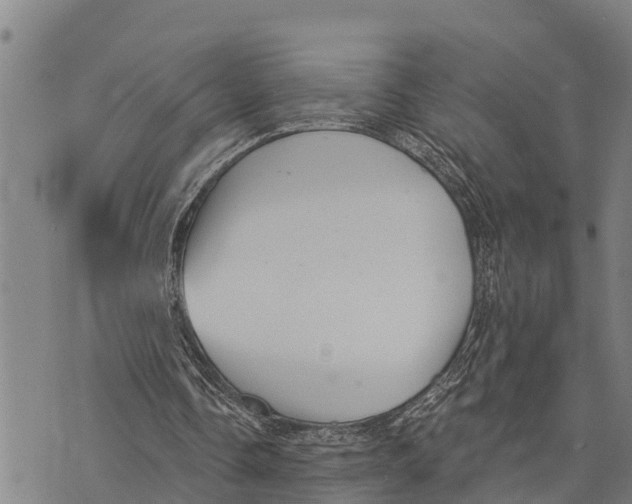 X0000073890338200609011658