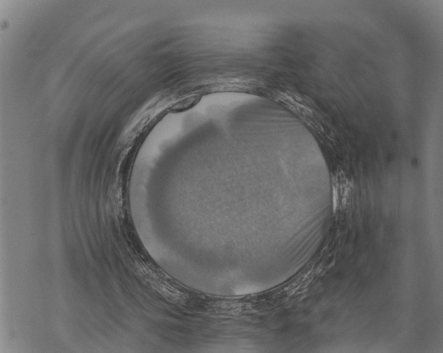 X0000073890339200609011658