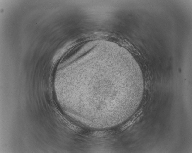 X0000073890341200609011658