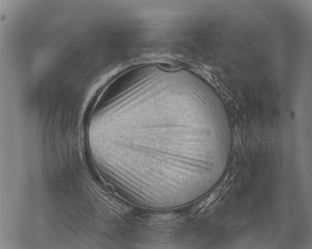 X0000073890342200609011658