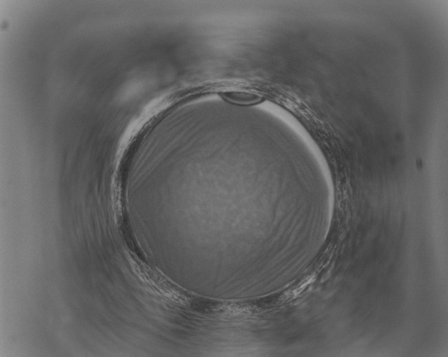 X0000073890343200609011659