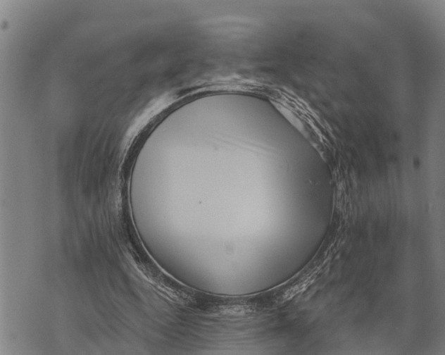 X0000073890344200609011659