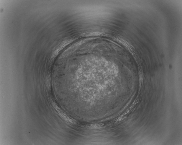 X0000073890345200609011659