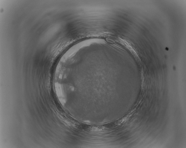 X0000073890346200609011659