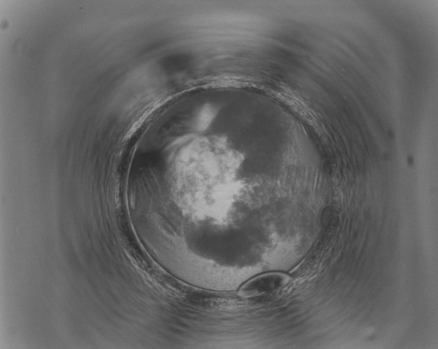 X0000073890347200609011659