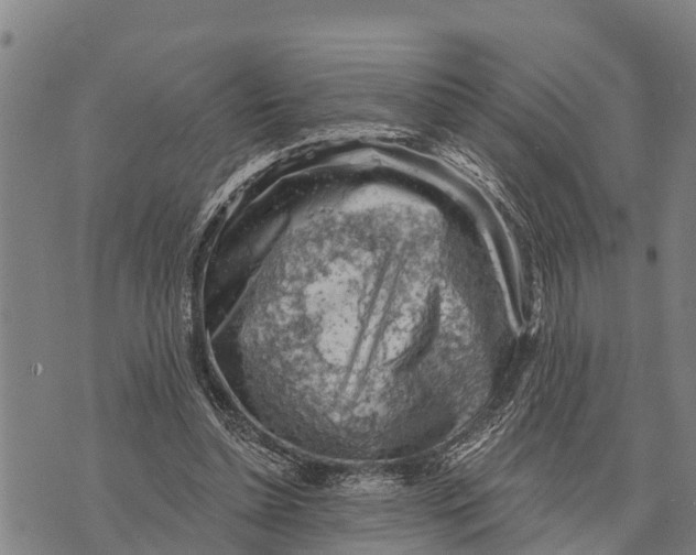 X0000073890348200609011659