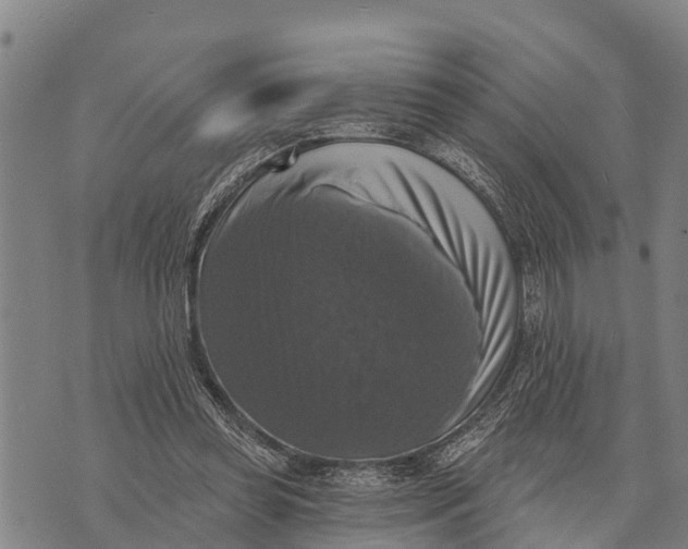 X0000073890349200609011659