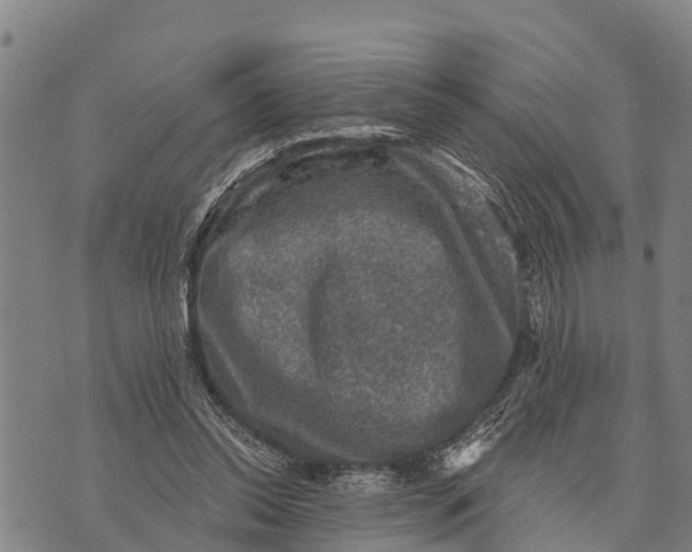 X0000073890350200609011659