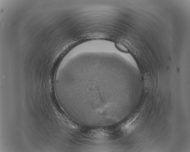 X0000073890351200609011659