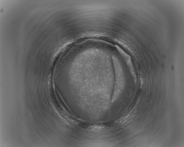 X0000073890352200609011659