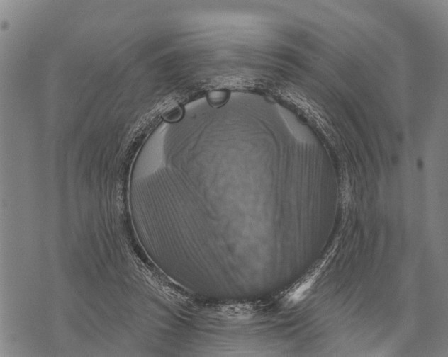 X0000073890353200609011659