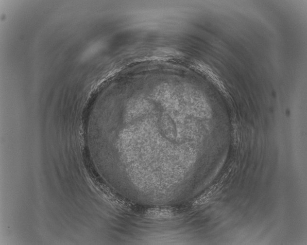 X0000073890354200609011659